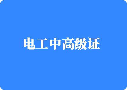 女人露出p毛视频www网站电工中高级证